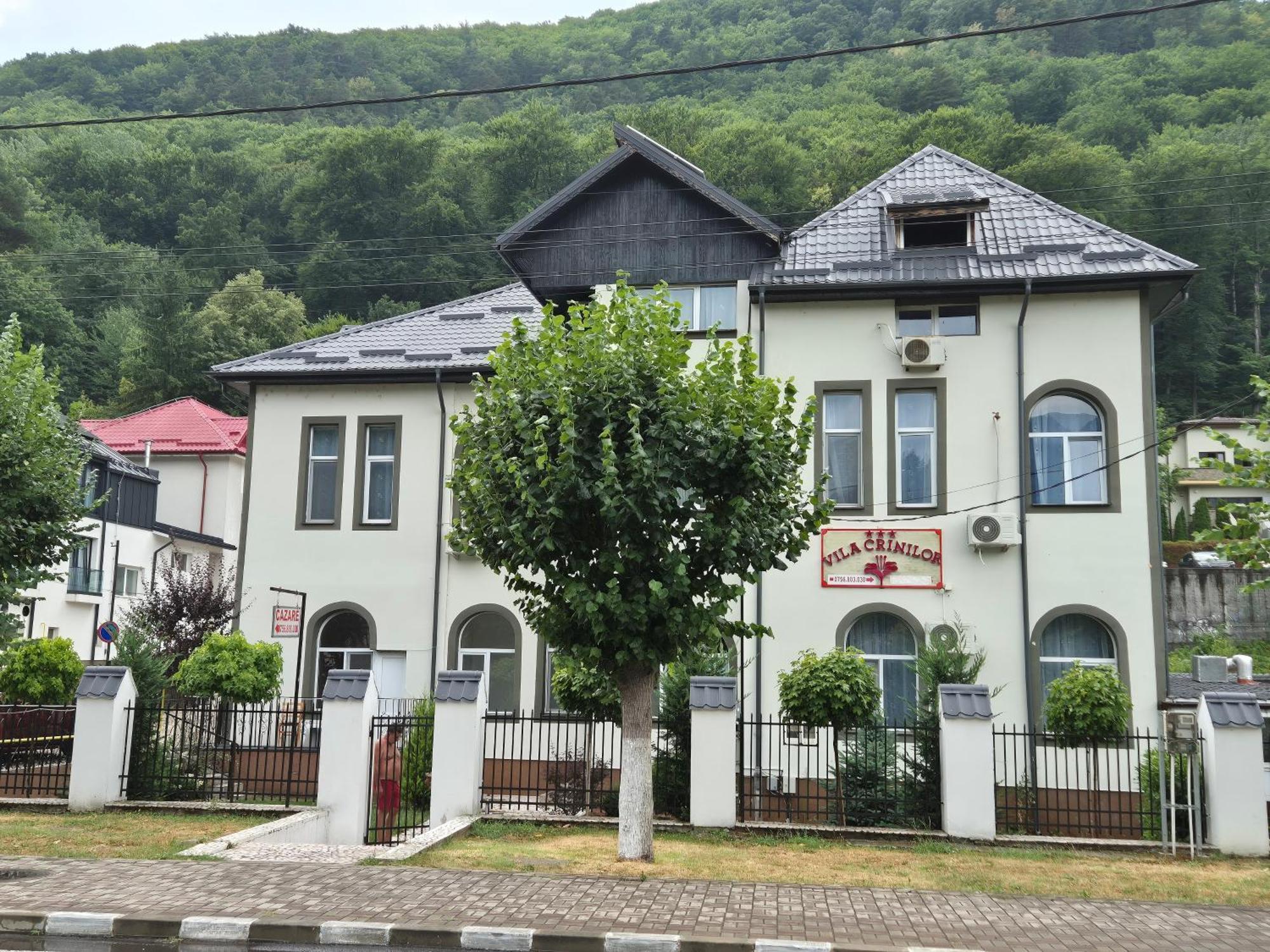 Vila Crinilor Călimăneşti Eksteriør billede